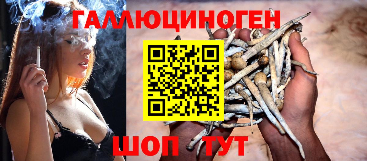 Саранск  Галлюциногенные грибы GOLDEN TEACHER  Вход с VPN 