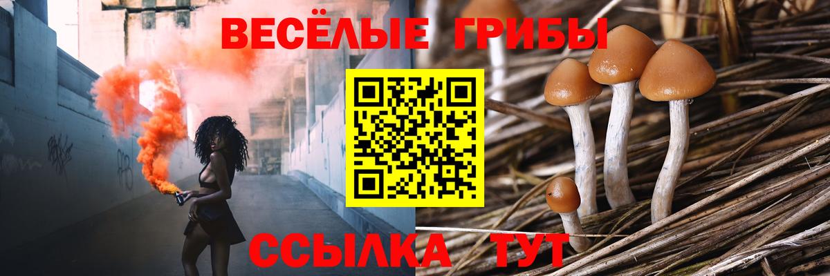 Галлюциногенные грибы мухоморы Саранск